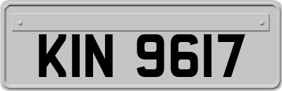 KIN9617