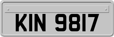 KIN9817