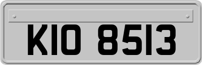 KIO8513