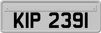 KIP2391