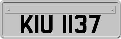 KIU1137