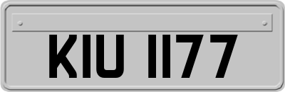 KIU1177