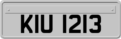 KIU1213