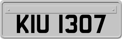 KIU1307