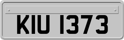 KIU1373