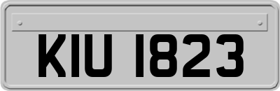 KIU1823