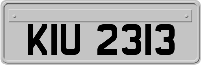 KIU2313