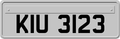 KIU3123