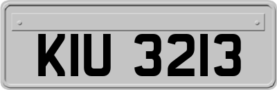 KIU3213