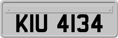 KIU4134