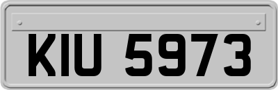 KIU5973