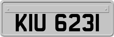 KIU6231