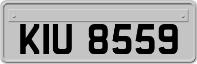 KIU8559