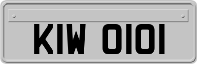 KIW0101
