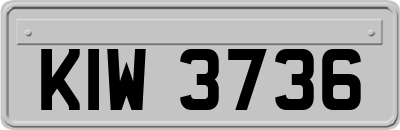 KIW3736