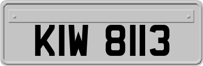 KIW8113