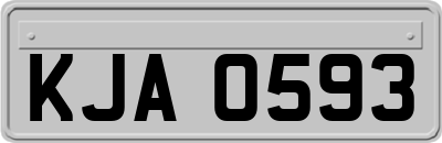 KJA0593