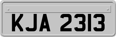 KJA2313