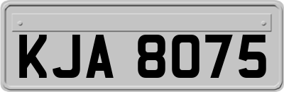 KJA8075