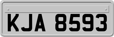 KJA8593