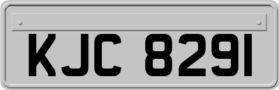 KJC8291