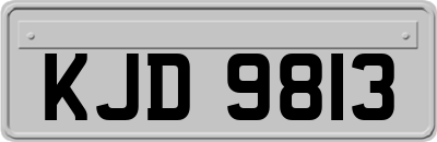 KJD9813