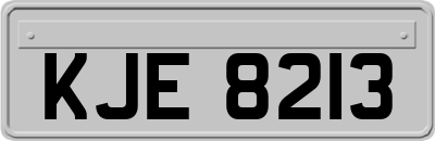 KJE8213