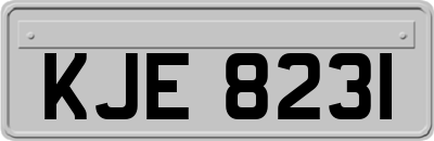 KJE8231