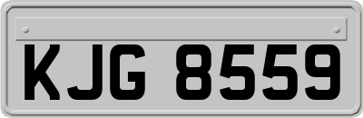KJG8559