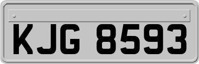 KJG8593