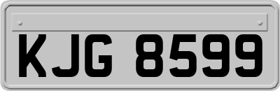 KJG8599