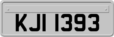 KJI1393