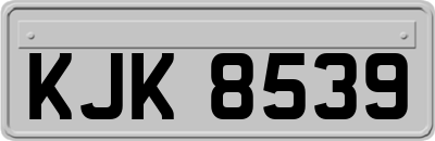 KJK8539