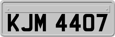 KJM4407