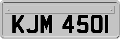 KJM4501