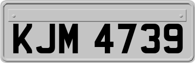 KJM4739