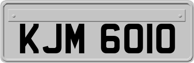 KJM6010