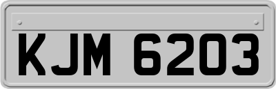 KJM6203