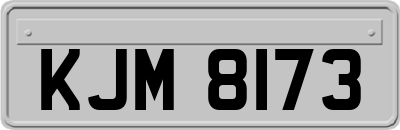 KJM8173