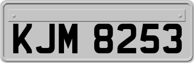KJM8253