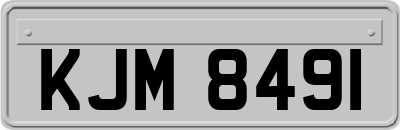 KJM8491