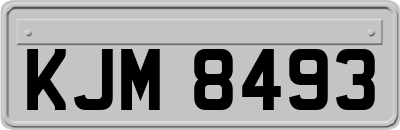 KJM8493
