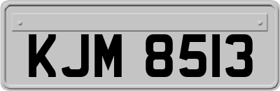 KJM8513