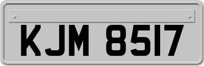 KJM8517