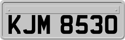 KJM8530
