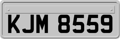 KJM8559