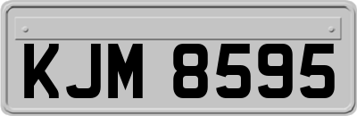 KJM8595