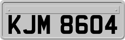 KJM8604
