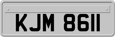 KJM8611