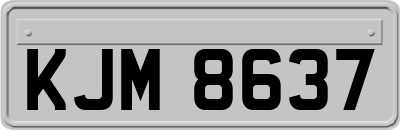 KJM8637